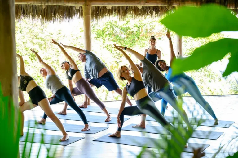 Compare Yoga Retreat Options: A Strategic 2026 Somatic Guide
