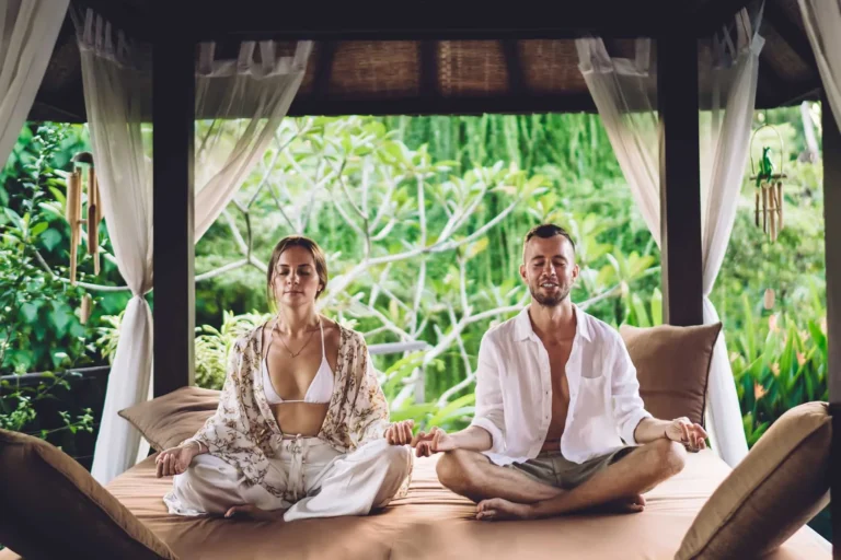 Holistic Health Retreat Plans: The Definitive Guide to Systemic Reset